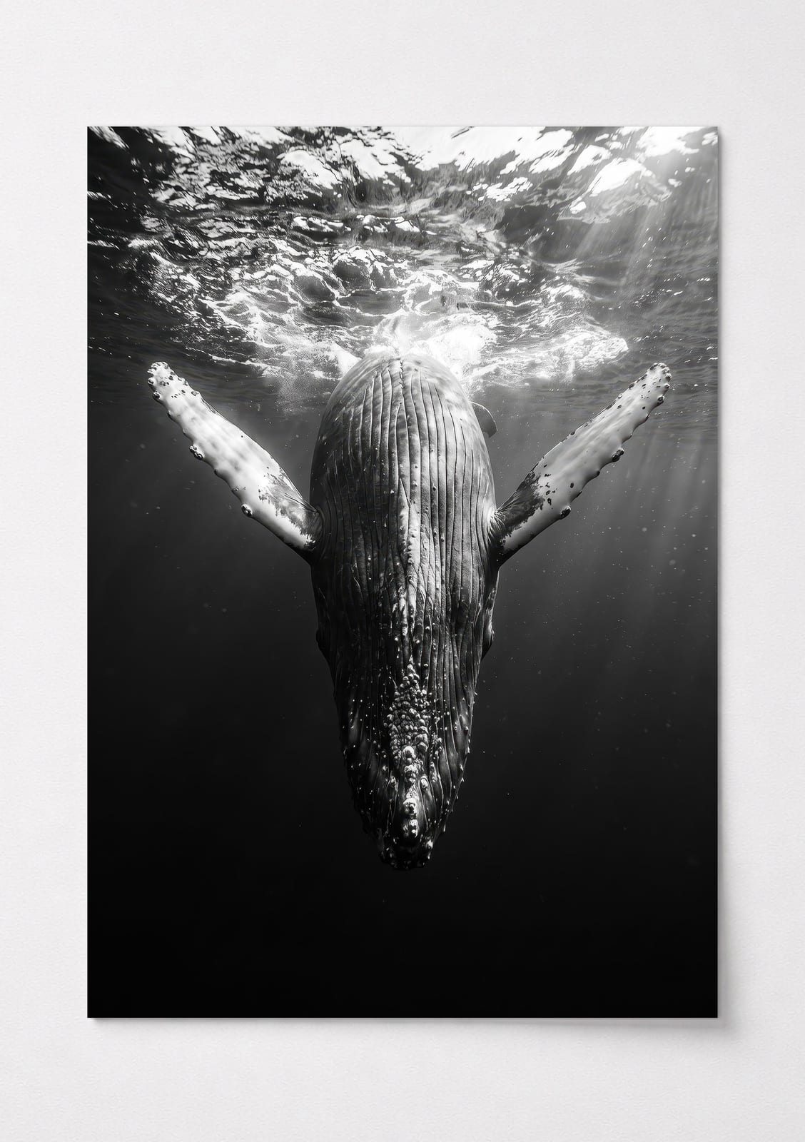 Whale Underwater Print