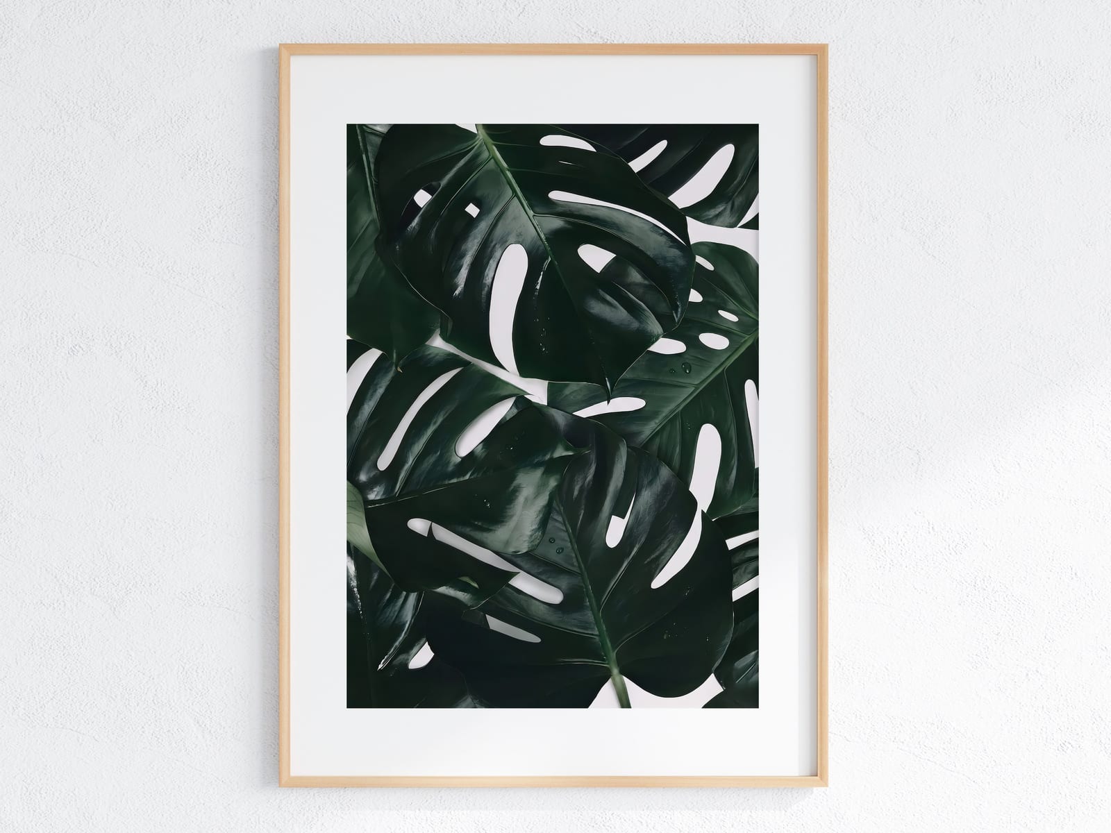 Affiche Feuille de Monstera