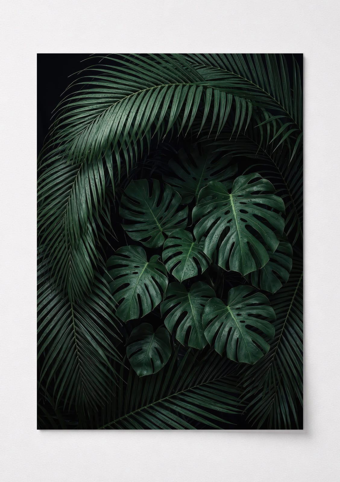 Lámina Hoja de Monstera