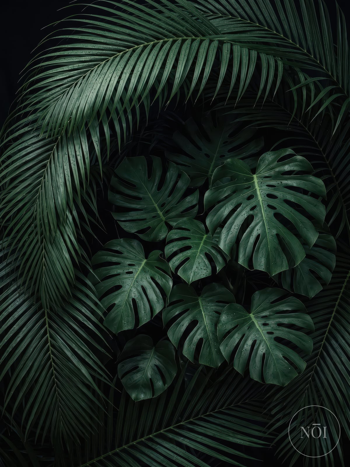 Monstera Blad Print — Poster (ungerahmt)