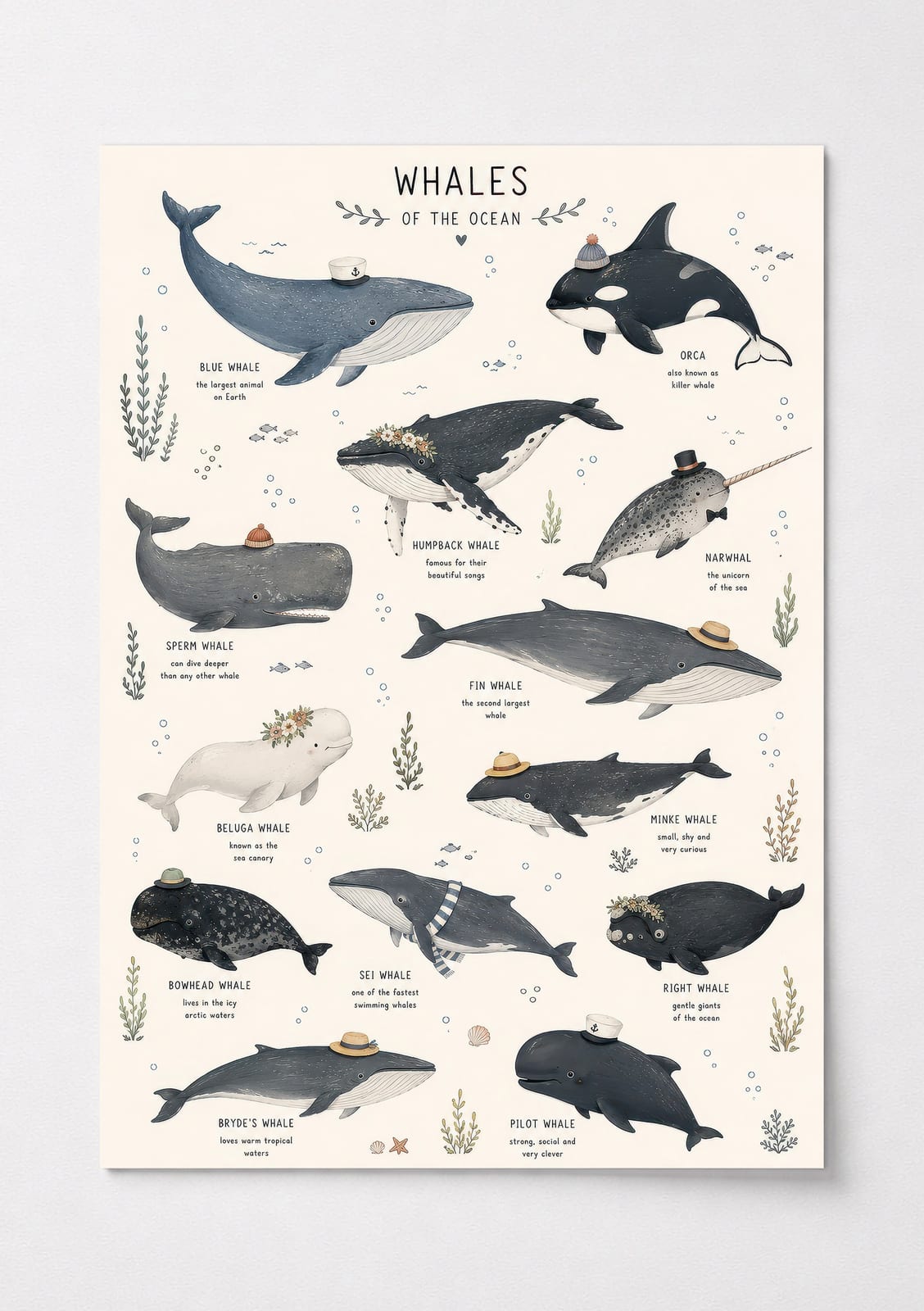 Hvalarter Plansje Print