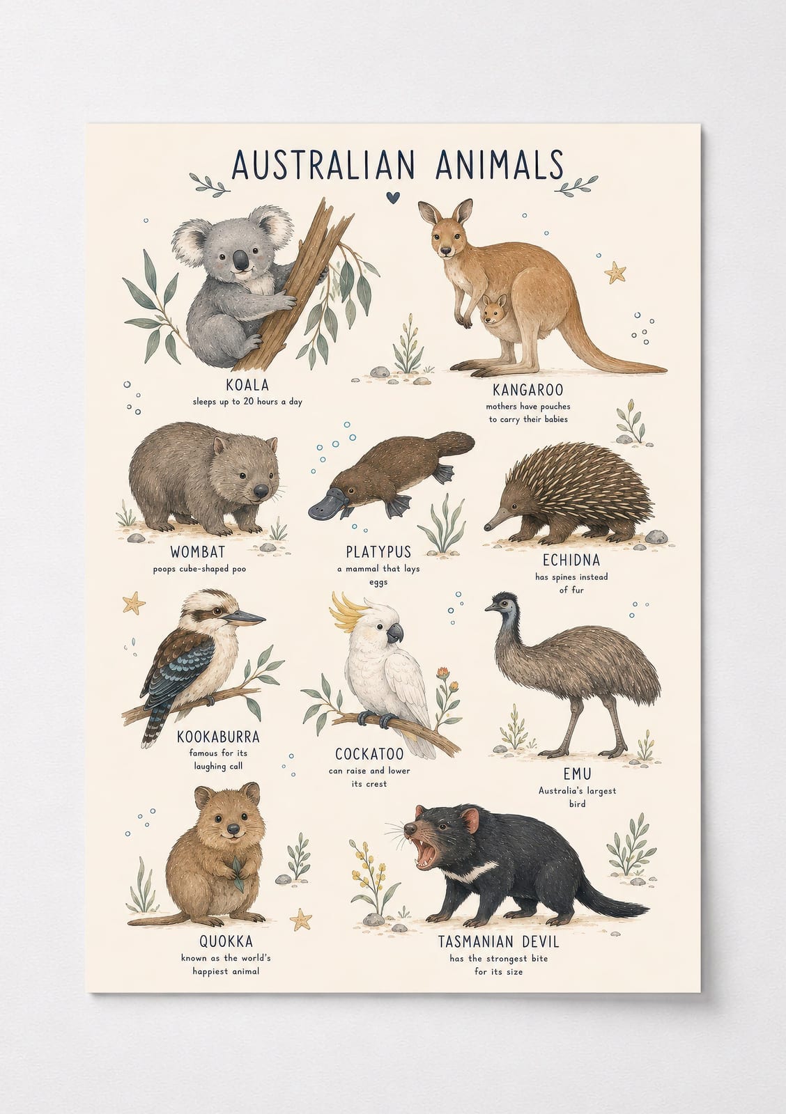 Australian Animals Chart Poster, Nursery Room Decor, Kids Bedroom Wall Art