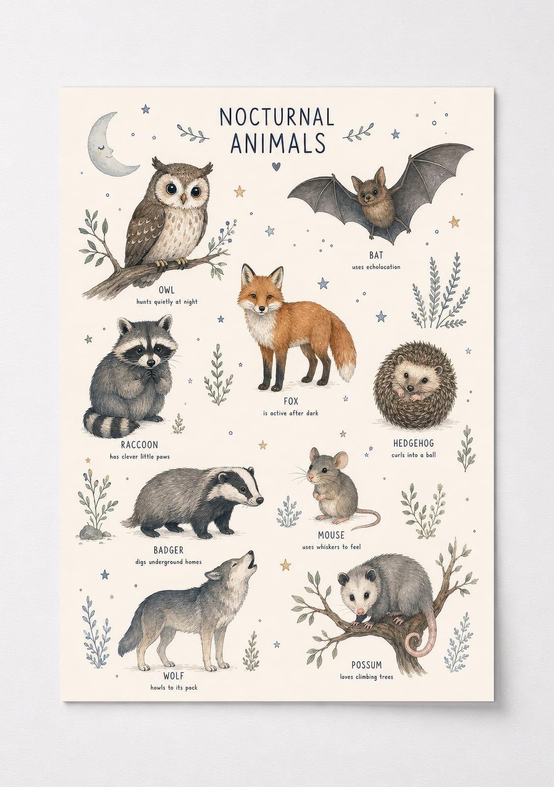 Nocturnal Animals Poster, Nursery Wall Art Chart, Moonlit Woodland Room Decor