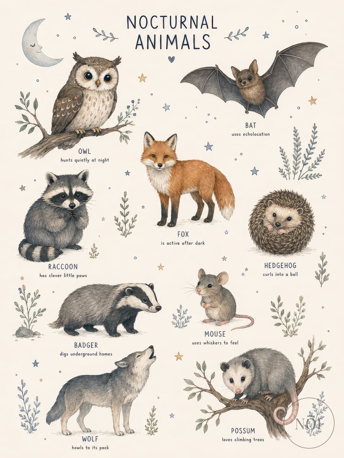 Tiere der Nacht — Poster (ungerahmt)