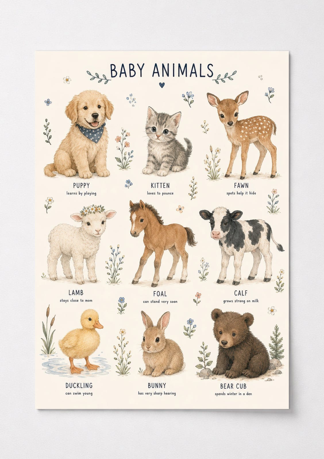 Baby Animals Nursery Print, Living Room Wall Art, Educational Watercolor Poster