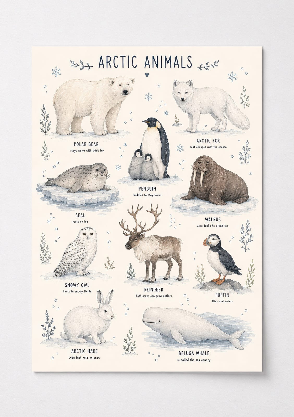 Arctic Animals Chart Poster, Educational Living Room Wall Art, Nursery Decor