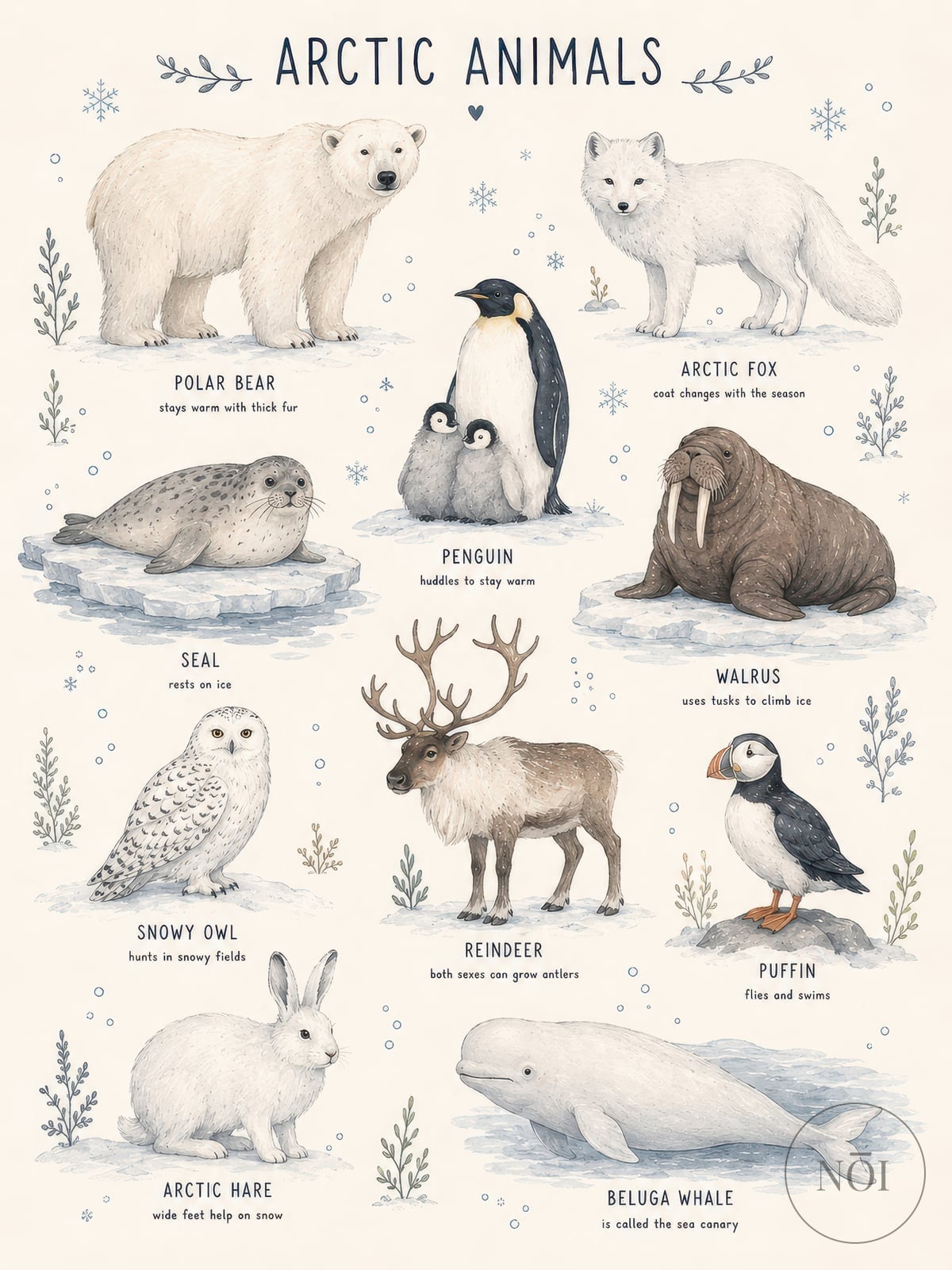 Arktiske Dyr Plakat — Poster (ungerahmt)