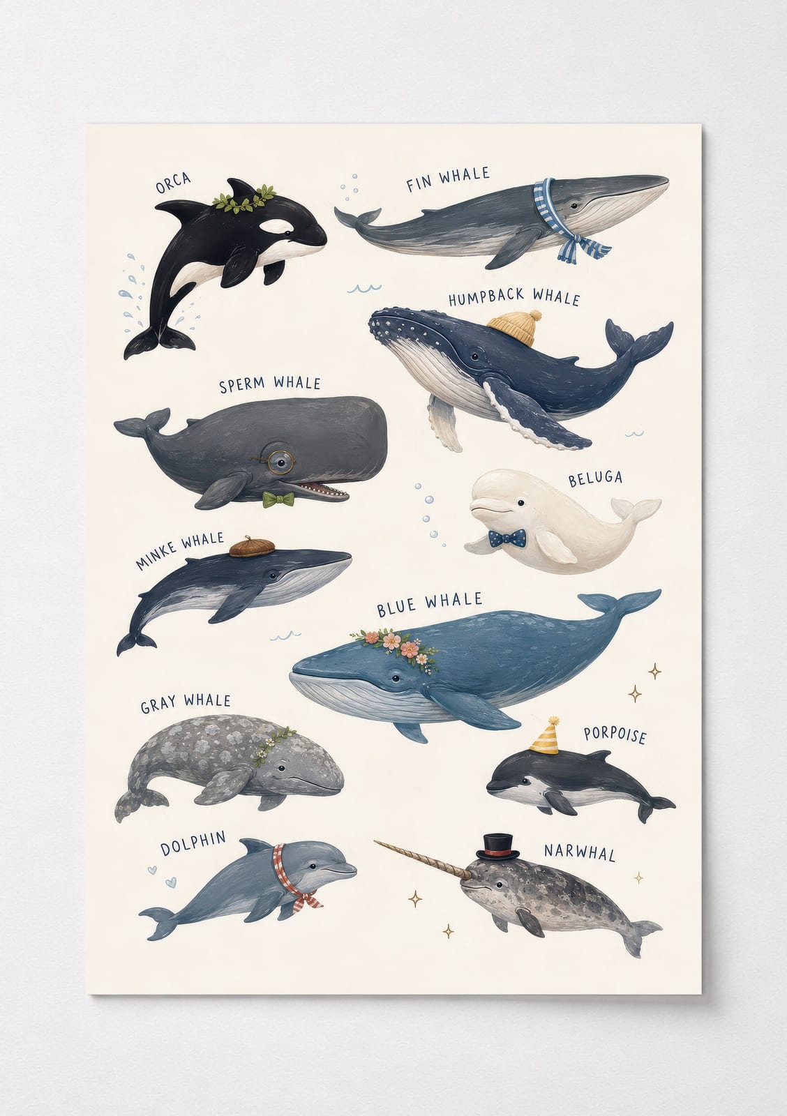 Whale Species Chart Poster, Ocean Wall Art for Baby Boy Nursery