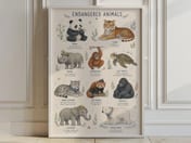 Endangered Animals Poster, Watercolor Living Room Wall Art, Kids Room Decor