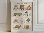 Shapes Animals Poster, Baby Boy Nursery Wall Art, Educational Kids Room Decor