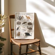 Australian Animals Chart Poster, Nursery Room Decor, Kids Bedroom Wall Art