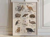 Australian Animals Chart Poster, Nursery Room Decor, Kids Bedroom Wall Art