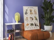 Pet Friends Chart Print, Living Room Wall Art, Cute Animal Nursery Poster