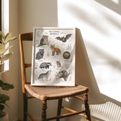 Nocturnal Animals Poster, Nursery Wall Art Chart, Moonlit Woodland Room Decor