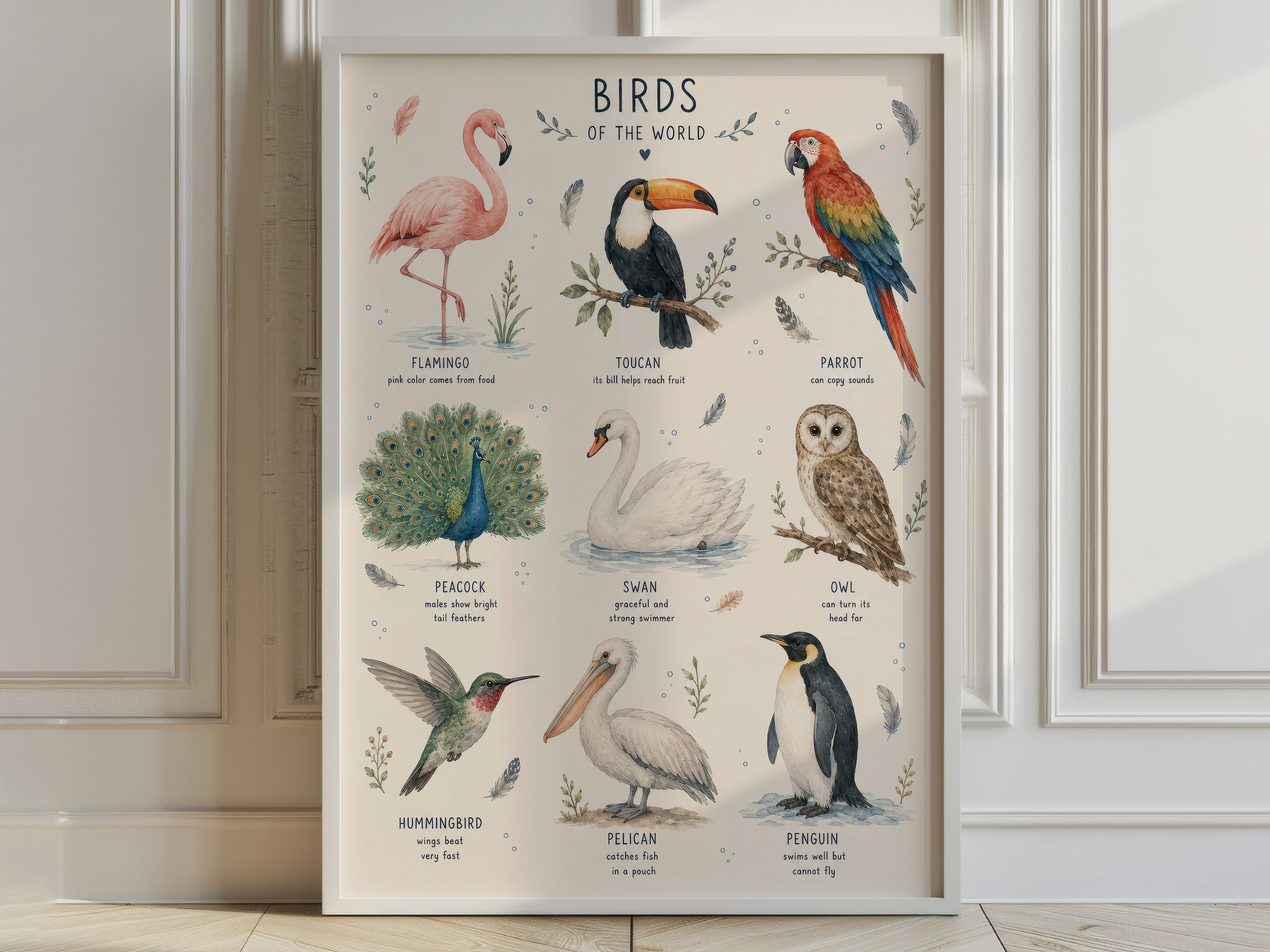 Birds of the World Poster, Watercolor Living Room Wall Art, Educational Nursery Chart