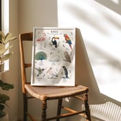 Birds of the World Poster, Watercolor Living Room Wall Art, Educational Nursery Chart