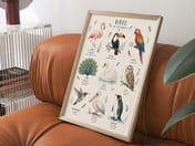 Birds of the World Poster, Watercolor Living Room Wall Art, Educational Nursery Chart