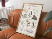 Arctic Animals Chart Poster, Educational Living Room Wall Art, Nursery Decor