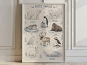 Arctic Animals Chart Poster, Educational Living Room Wall Art, Nursery Decor