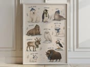 Arctic Animals Chart Poster, Cozy Watercolor Nursery Living Room Wall Art