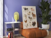 Farm Animal Chart Print, Living Room Wall Art, Nursery Educational Poster