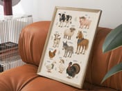 Farm Animal Chart Print, Living Room Wall Art, Nursery Educational Poster