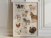 Farm Animal Chart Print, Living Room Wall Art, Nursery Educational Poster