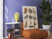Safari Animal Alphabet Poster, Nursery Wall Art, Kids Room Decor