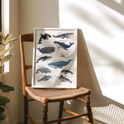 Whale Species Chart Poster, Ocean Wall Art for Baby Boy Nursery