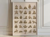 Yoga Sloths Poster, Funny Animal Living Room Wall Art