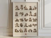 Yoga Raccoons Print, Living Room Wall Art, Funny Animal Poster