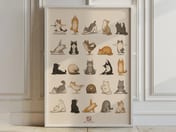 Yoga Cats Poster, Colorful Cat Grid Living Room Wall Art